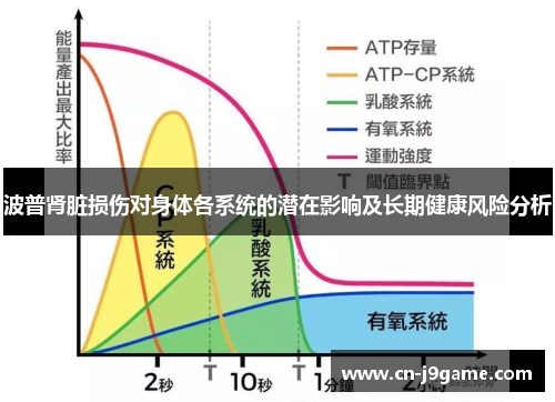 波普肾脏损伤对身体各系统的潜在影响及长期健康风险分析